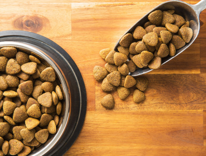 Dog food veterinary outlet nutritionist